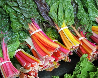 150 RAINBOW Mix SWISS CHARD Mixed Colors Beta Vulgaris Vegetable Seeds