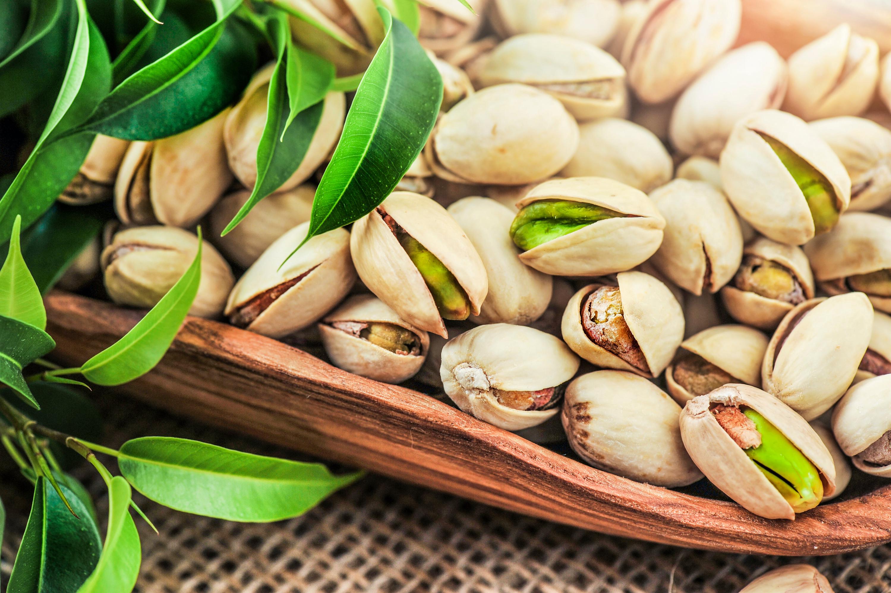 Pistachio planting seeds - Etsy 日本