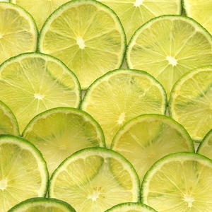 15 KEY LIME Citrus Aurantifolia Fruit Tree Shrub Seeds