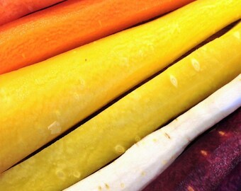 Semillas De Zanahoria Daucus Carota Beltrame 4g Huerta | Cuotas Sin Interés