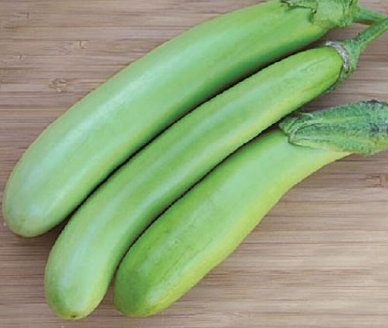 25 Louisiana LONG GREEN EGGPLANT Solanum Melongena Fruit Etsy