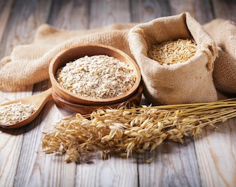 200 ORGANIC OAT Oats Avena Sativa Grain Vegetable Seeds