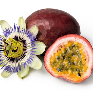 20 PURPLE PASSION FRUIT Passionflower Granadilla Passiflora Edulis Flower Vine Seeds
