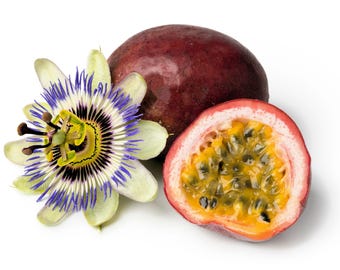 20 PURPLE PASSION FRUIT Passionflower Granadilla Passiflora Edulis Flower Vine Seeds