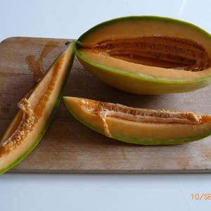 50 BANANA CANTALOUPE Melon Fruit Cucumis Melo Seeds