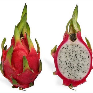 20 WHITE DRAGON FRUIT (Pitaya / Pitahaya / Strawberry Pear) Hylocereus Undatus Cactus Seeds