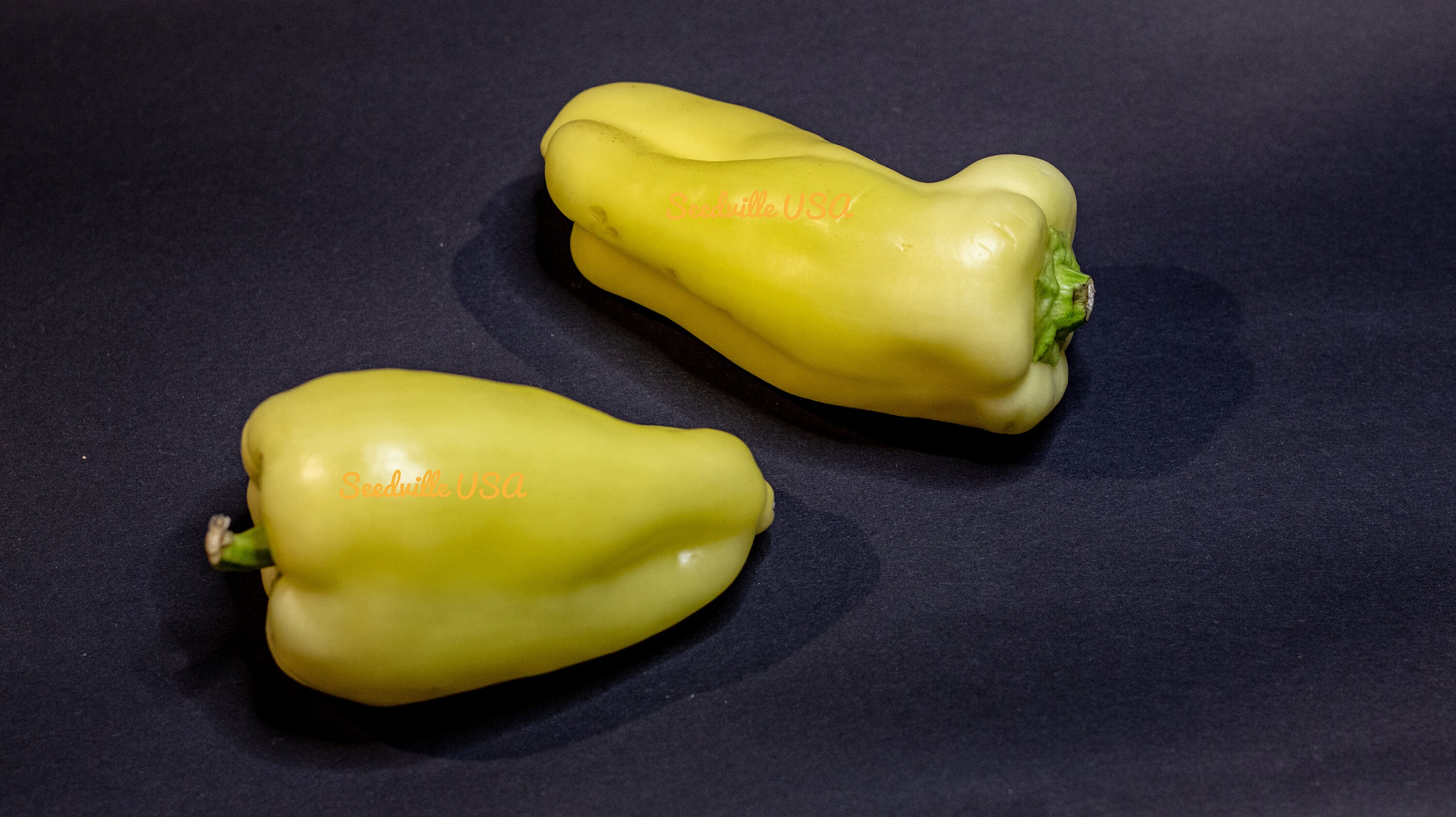 25 GIANT SZEGEDI PEPPER Capsicum Annuum Hungarian Sweet Paprika