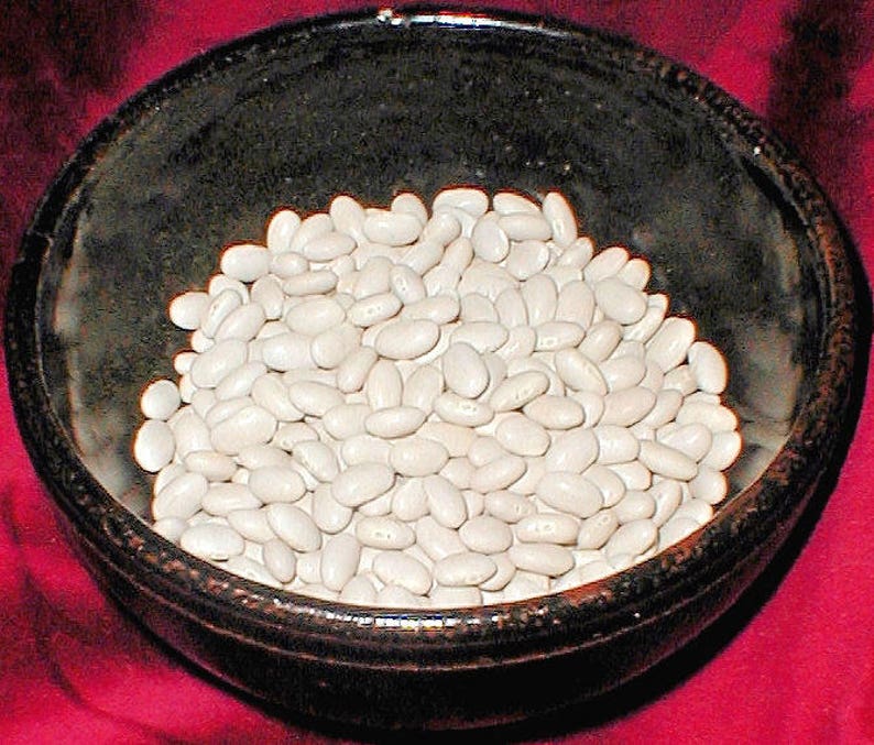 30 CANNELLINI BEAN Seeds White Italian Kidney Phaseolus Etsy