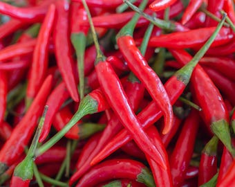300 LONG Red CAYENNE PEPPER Hot Capsicum Annuum Vegetable Seeds