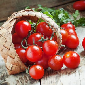 300 SMALL Red CHERRY TOMATO Lycopersicon Lycopersicum Fruit Vegetable Seeds