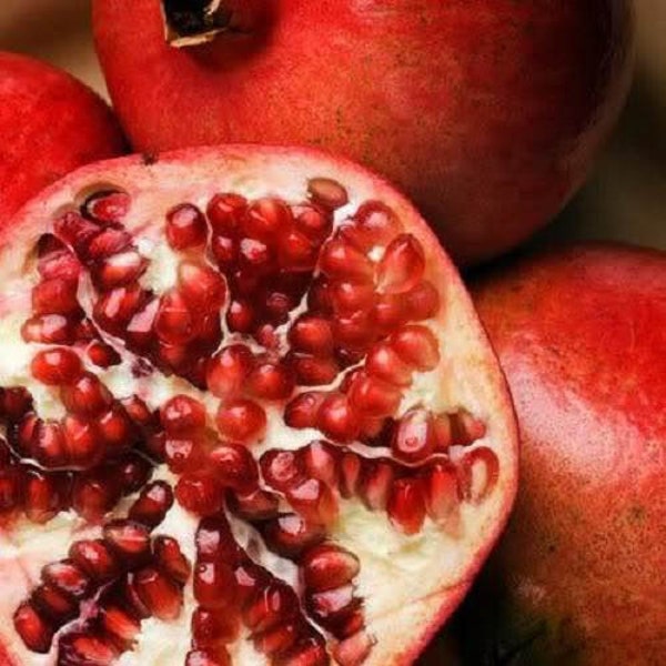 25 POMEGRANATE TREE Punica Granatum Red Fruit Seeds