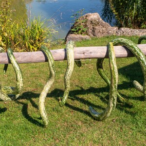 10 SNAKE GOURD Multicolored Craft Gourd Lagenaria Siceraria Vine Seeds