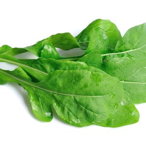 2000 ROQUETTE ARUGULA también conocido como Rocket / Rucola / Rugula - Semillas vegetales de hierbas Eruca Vesicaria Sativa