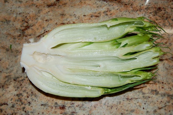 250 Chicoria Catalogne Cicoria Puntarelle Chicorium Chicorée Légumes Graines