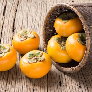 5 AMERIKANSK PERSIMONTRÄD Diospyros Virginiana Fruktfrön