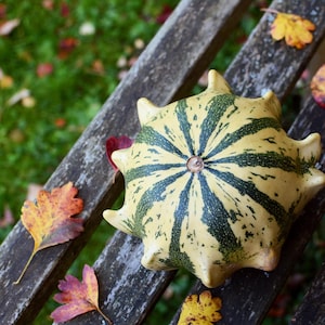 25 GOURDE DES DIX COMMANDEMENTS Mélange Couronne d'épines Couleurs variées Graines de Cucurbita Pepo