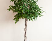 yucca kunstpflanze Kunstpflanzen | Künstliche Yucca Palme - Bambino, 70 cm | Wie echt main image 0