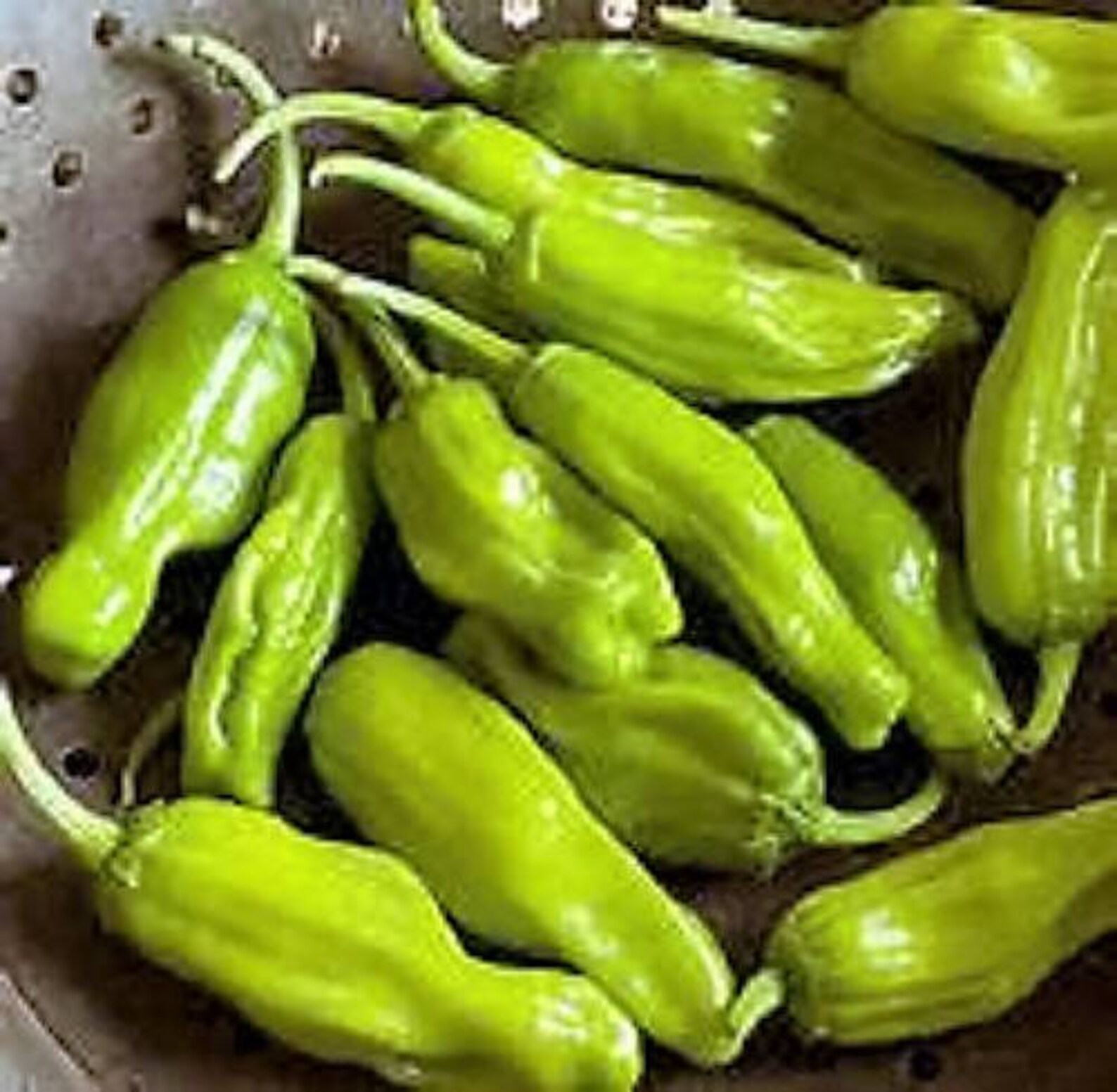 Less peppers. Перец острый пеперончини Грик. Перец Pepperoncini Italy. Перчики пепперончини семена. Перец острый пеперончини жёлтый.