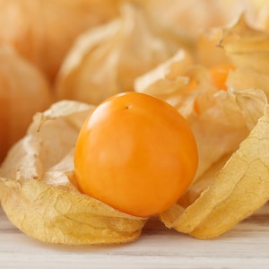 50 PERUVIAN GROUND CHERRY Physalis Peruviana Cape Gooseberry Fruit Veggie Seeds