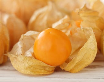 50 PERUVIAN GROUND CHERRY Physalis Peruviana Cape Gooseberry Fruit Veggie Seeds