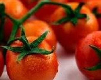 300 SMALL Red CHERRY TOMATO Lycopersicon Lycopersicum Fruit Vegetable Seeds