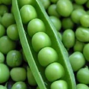 50 Super SUGAR SNAP PEA Pisum Sativum Macrocarpon Vegetable Seeds