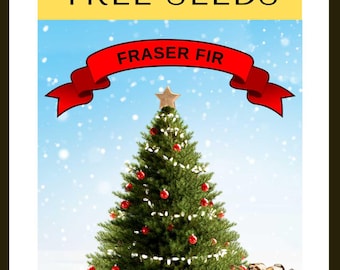 ノルドマンモミ（Abies Nordmanniana）、クリスマスツリー、コーカサス