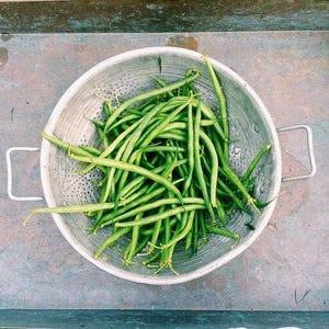 50 SLENDERETTE GREEN BEAN French Stringless Phaseolus Vulgaris Vegetable Seeds