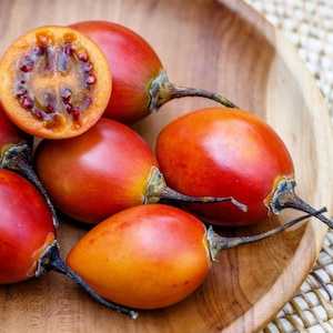 10 Semillas de árboles frutales de TAMARILLO / TOMATE DE ÁRBOL Cyphomandra Betacea Solanum