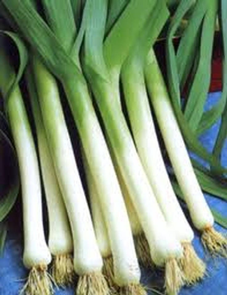 500 Chinese Leek Oriental Garlic Garlic Chives Chinese - 