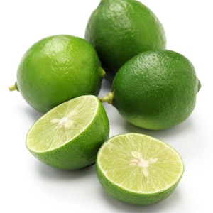 15 KEY LIME Citrus Aurantifolia Fruit Tree Shrub Seeds