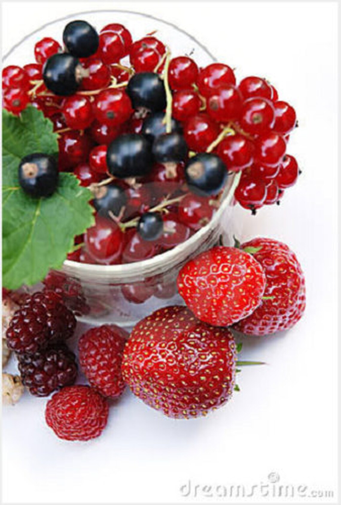 20 Red WAX CURRANT Edible Fruit Berries Pink Flowers Shrub Etsy