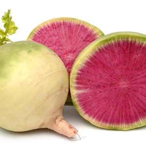 300 RADIS MELON D'EAU Beauty Heart Raphanus Sativus Graines De Légumes Rose Blanc