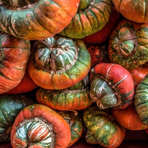 10 graines de courge TURBAN américaine TURKS TURBAN Cucurbita maxima