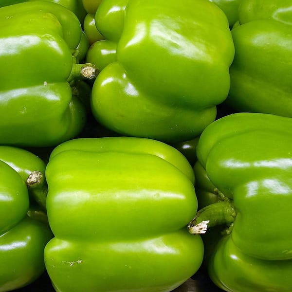 200 BIG GREEN Bell PEPPER Sweet Capsicum Annuum Vegetable Seeds