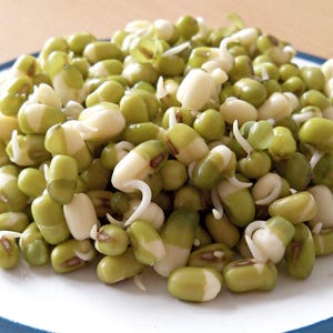 150 MUNG BEAN Moong Sprouts Golden Gram Green Vigna Radiata Vegetable Seeds