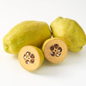 20 Chinese QUINCE FRUIT TREE Chaenomeles Sinensis Pseudocydonia Fruit Flower Seeds Thornless