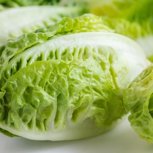 3000 LITTLE GEM LETTUCE Small Romaine Butterhead Lactuca Sativa Vegetable Seeds