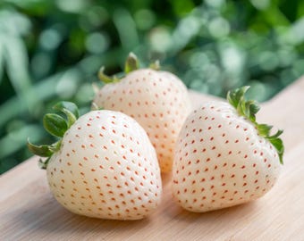 100 WHITE SOUL STRAWBERRY Fragaria Vesca Fruit Flower Berry Seeds