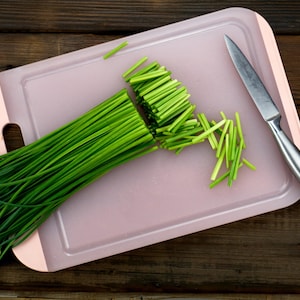 500 CHINESE LEEK (Oriental Garlic / Garlic Chives / Chinese Chives / Flat Chives) Allium Tuberosum Vegetable Seeds