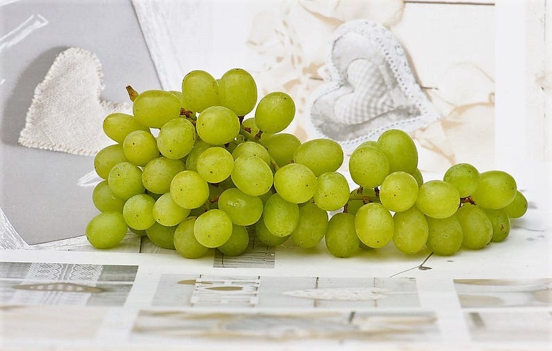 50 GREEN Dessert / Table GRAPE Vitis Vinifera Fruit Vine Seeds image 5