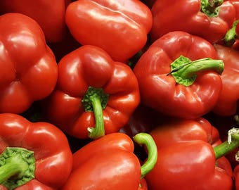 150 BIG RED Bell PEPPER Sweet Capsicum Annuum Vegetable Seeds *Comb Ship