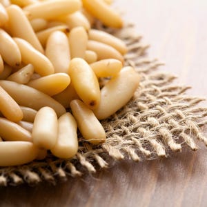 5 Pine Nut ITALIAN STONE PINE Pinus Pinea Umbrella Tree Seeds