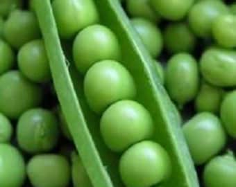50 Super SUGAR SNAP PEA Pisum Sativum Macrocarpon Vegetable Seeds