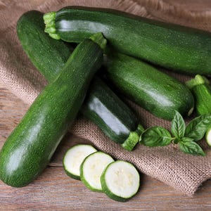 50 BLACK BEAUTY ZUCCHINI Summer Squash Cucurbita Pepo Vegetable Seeds