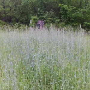 Pane Di Segale Ai Semi Di Girasole - Foto 8