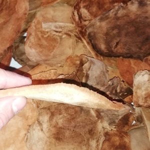 Yesca para hacer fuego