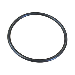 May include: A black rubber O-ring seal.