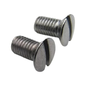 May include: Two silver-toned, slotted, flat-head screws. The screws have a rounded head and a threaded shaft.
