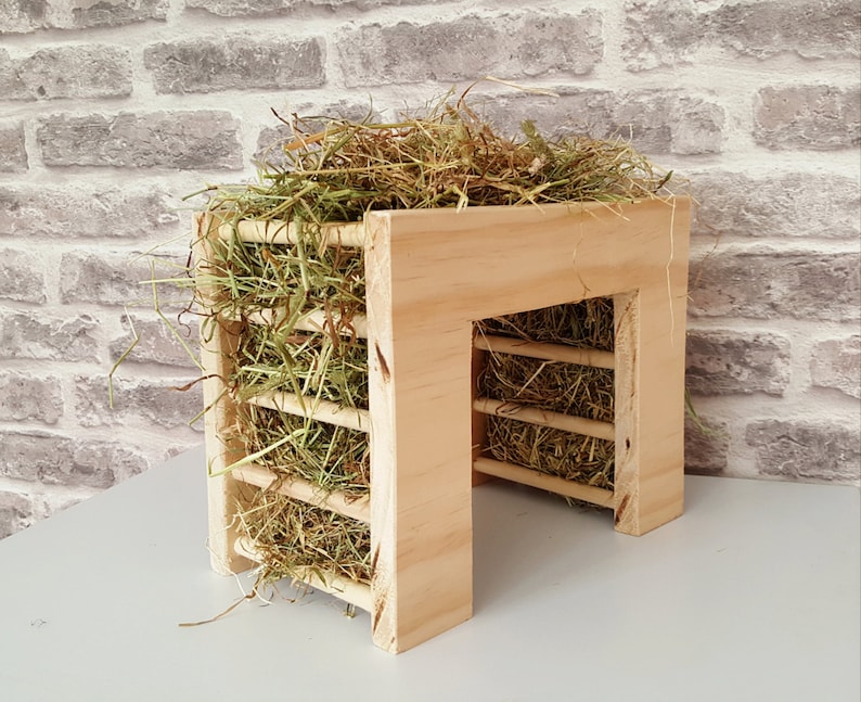Hay Rack Hay Feeder Guinea Pig Rabbit Small Animal Hay Etsy